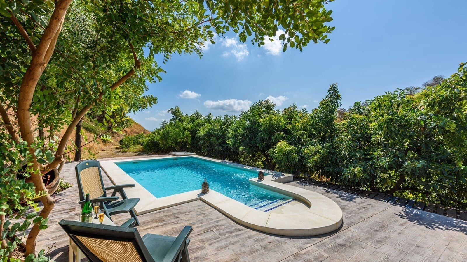 Una piscina rettangolare con bordo curvo, immersa nel verde e alberi.