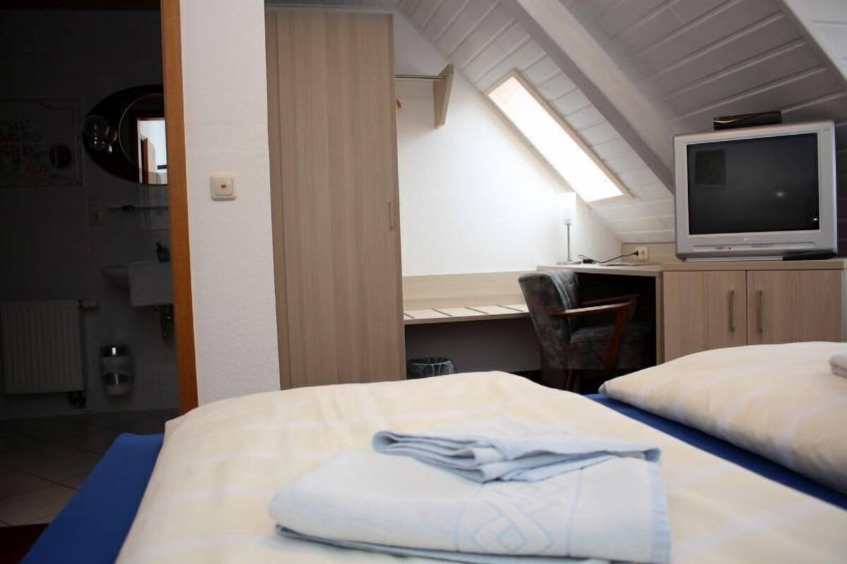 A bedroom with a bed, a desk, a television, and a skylight.