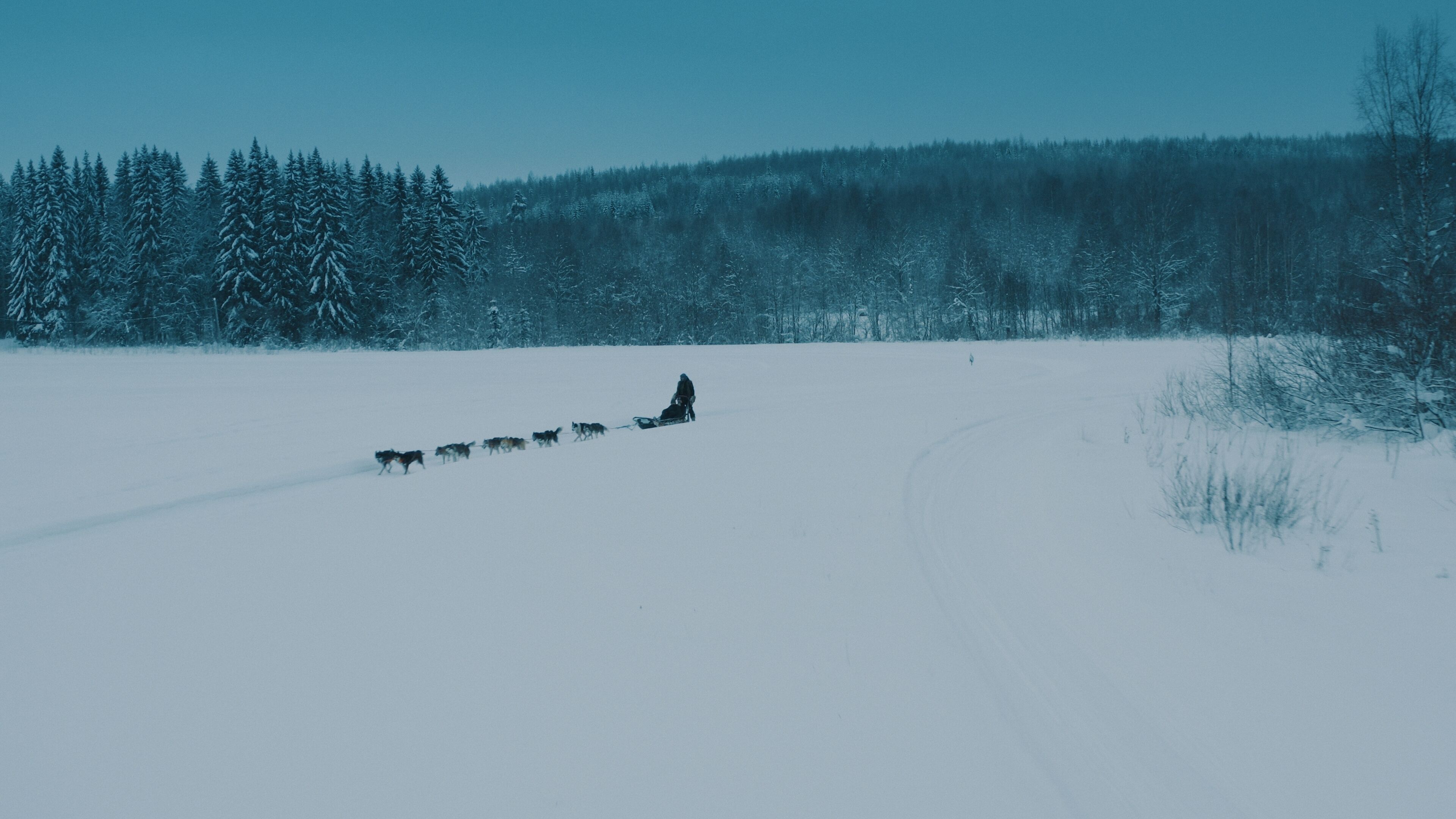 Un paisaje nevado con una persona y perros tirando un trineo sobre la nieve.