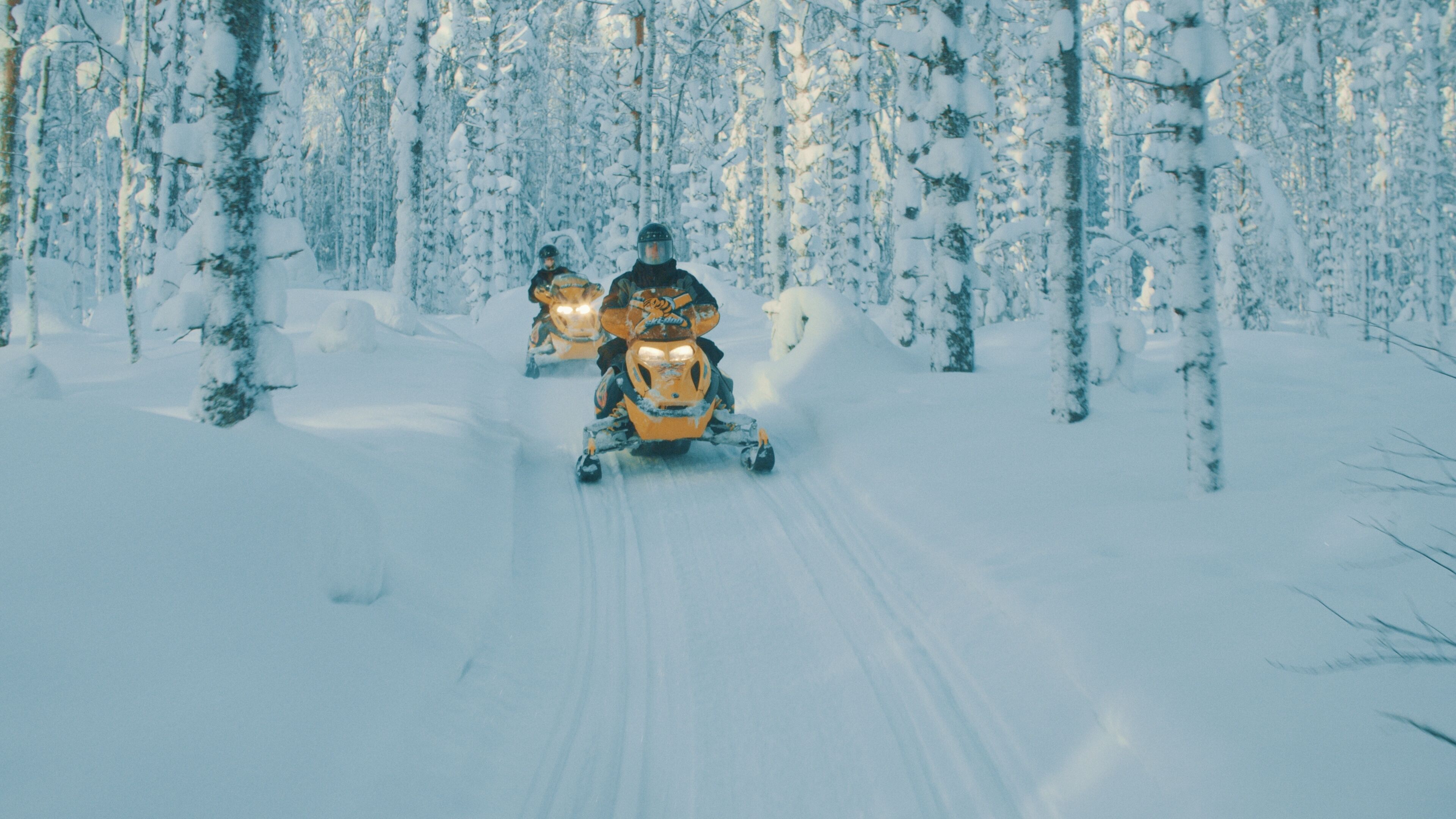 Un sendero para motos de nieve en un bosque nevado.
