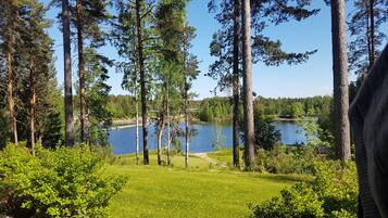 A lakeside view with tall trees and a clear sky.