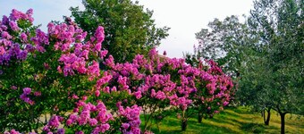 Holiday apartment with private pool in village Sutivanac