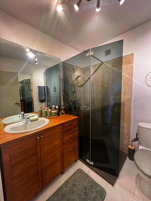 Shower, hair dryer, towels