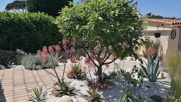 Vistas al jardín