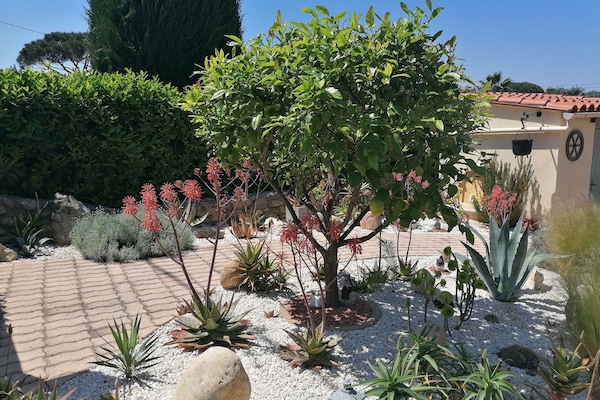 Blick auf den Garten