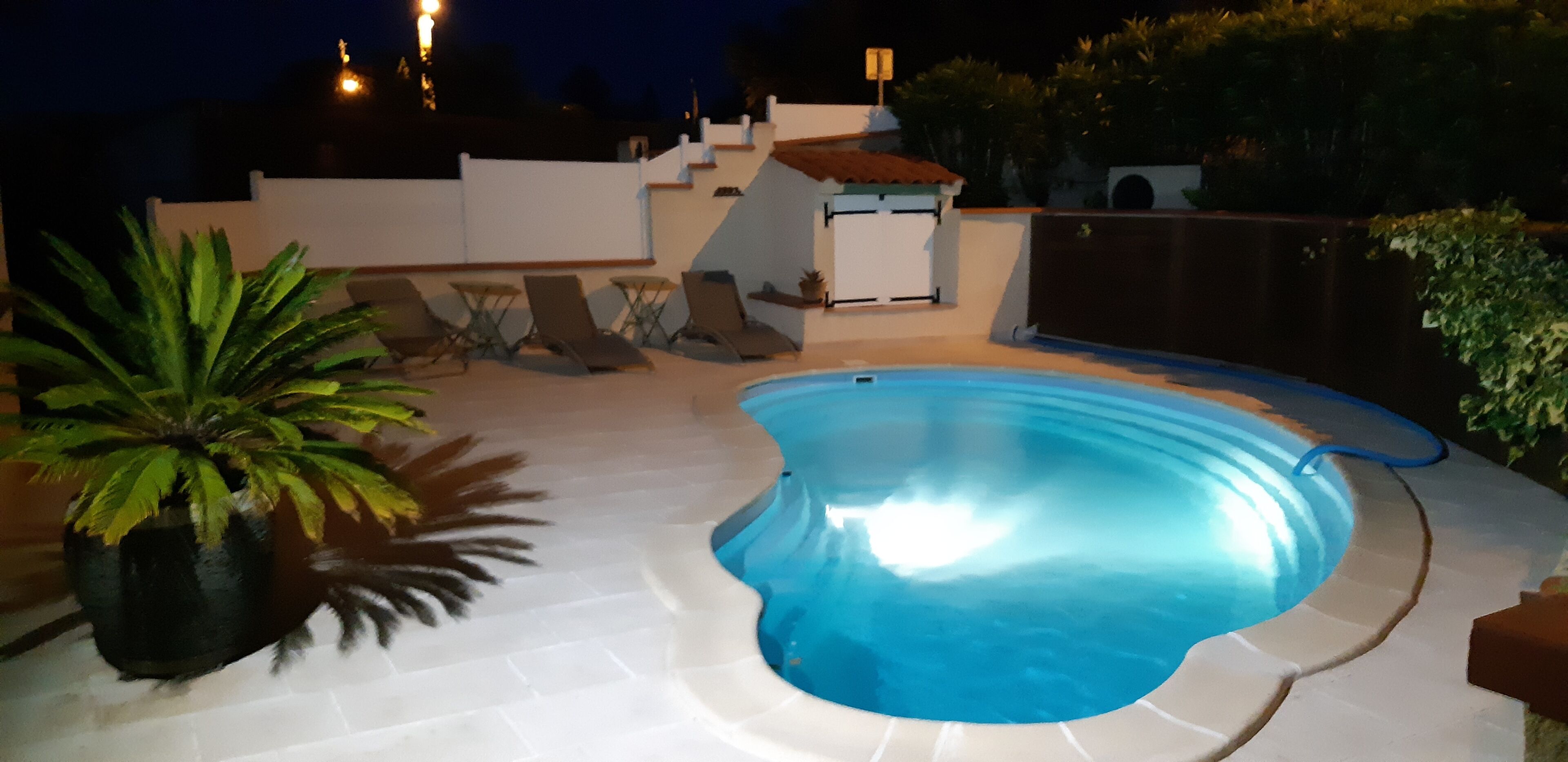 A swimming pool with lounge chairs and a potted plant.