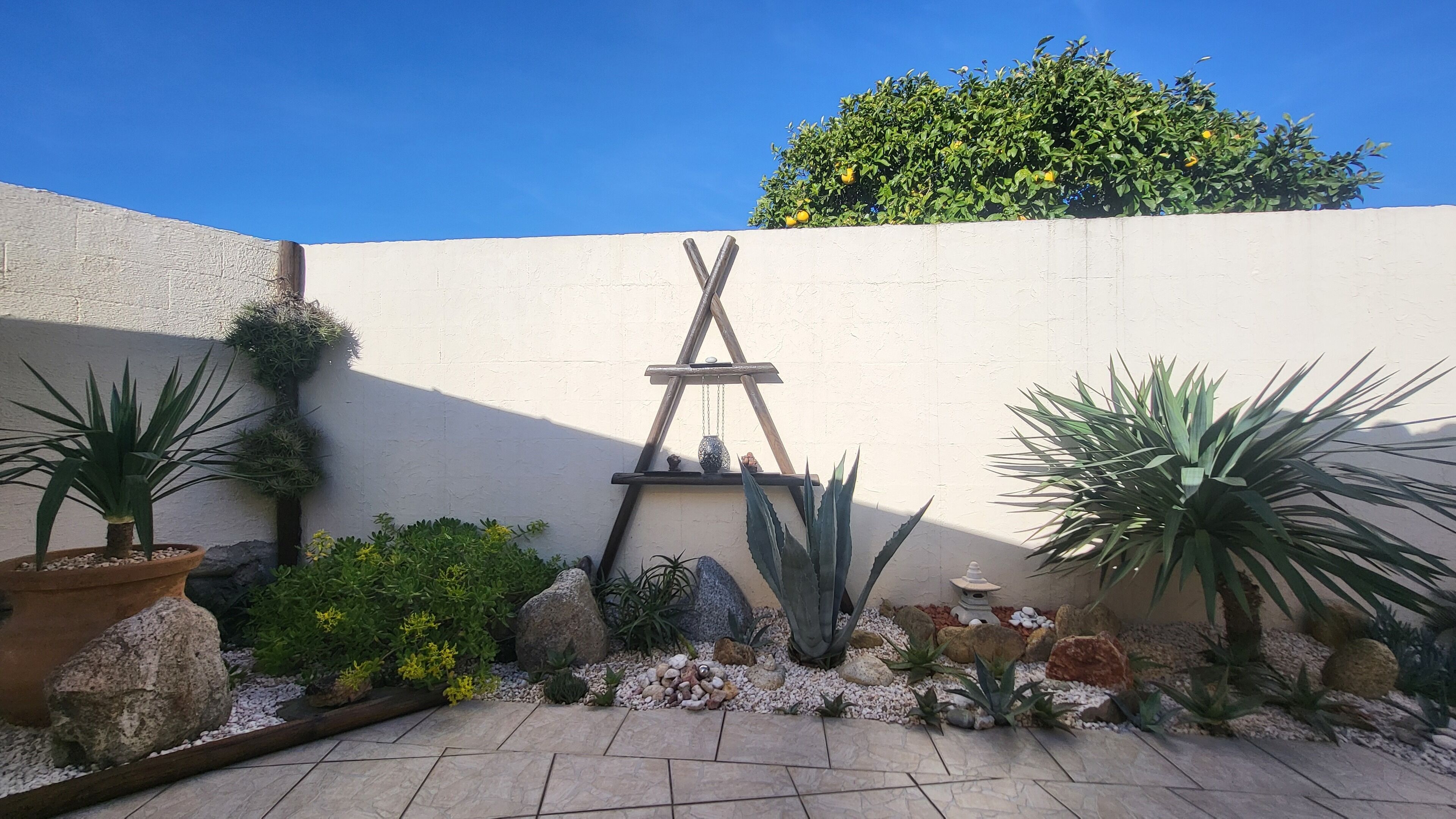 Un jardín con un muro blanco, varias plantas, rocas y una estructura de madera.