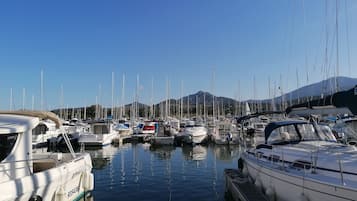 Paseos en barco