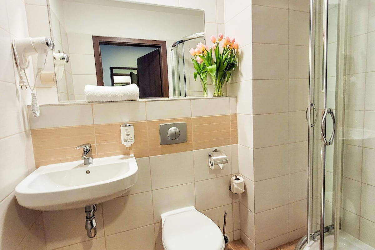 free toiletries, hair dryer, towels