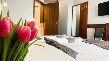 Business Twin Room, 1 Bedroom | Desk, iron/ironing board, free WiFi, bed sheets