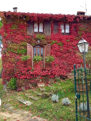 Aussenbereich