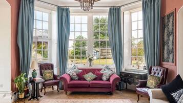 Télévision, cheminée, lecteur de DVD, enceintes connectées