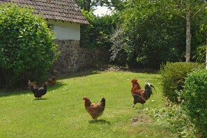 Property grounds - Luxurious cottage in 70 acres with private lake, fantastic views and walks (South Molton)