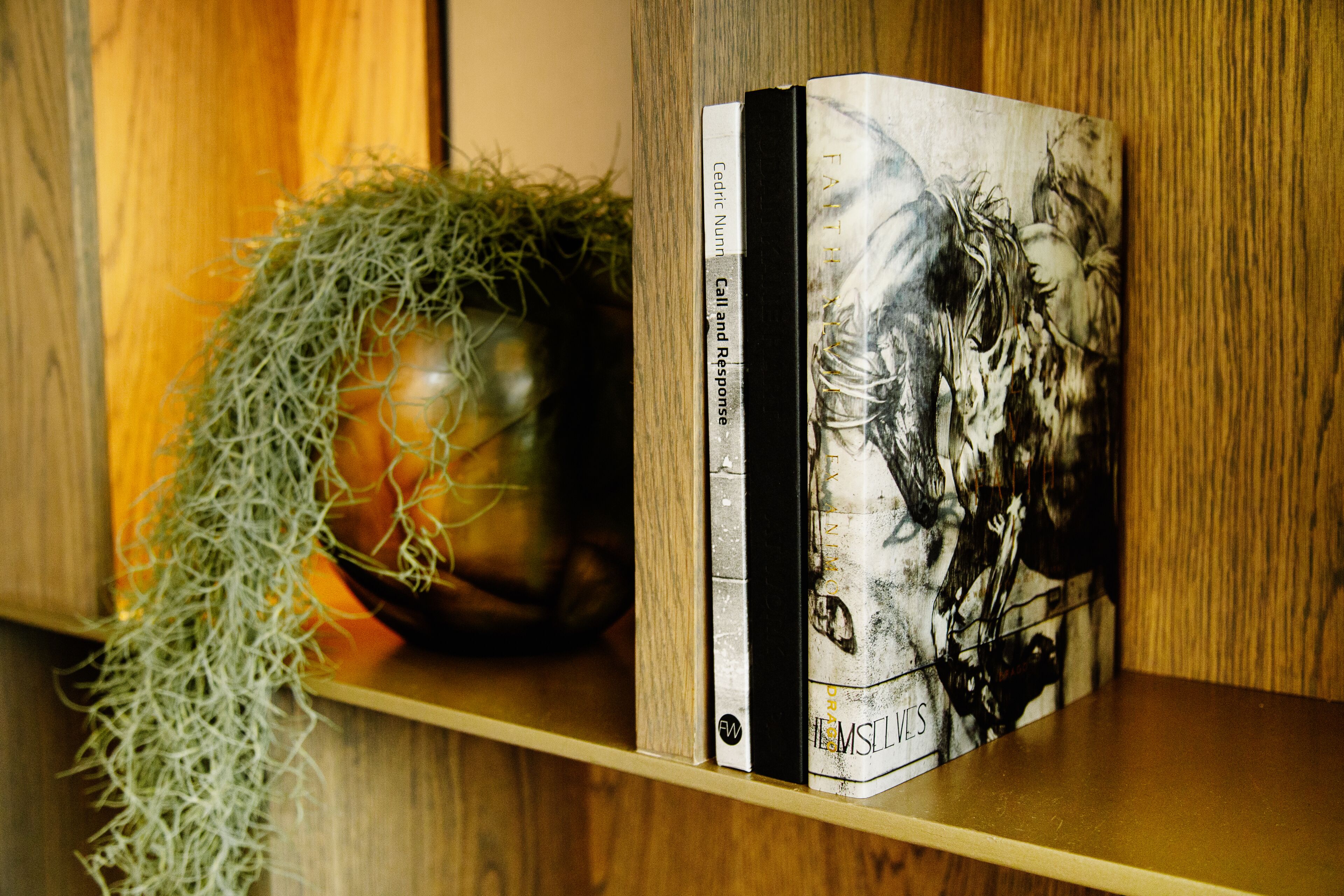 A bookshelf with books and a potted plant.