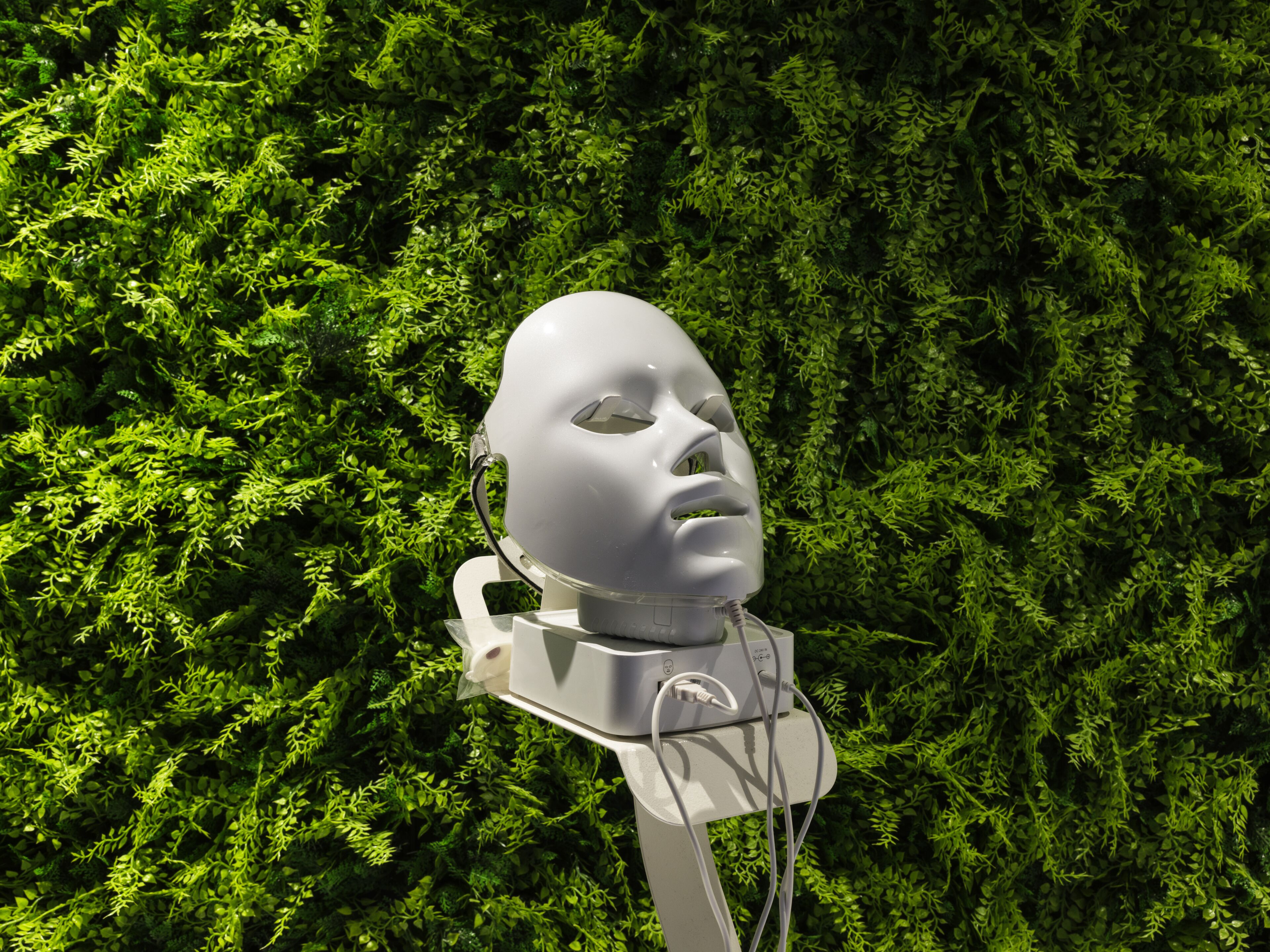 Une tête de mannequin portant un casque, sur fond de feuillage vert et dense.