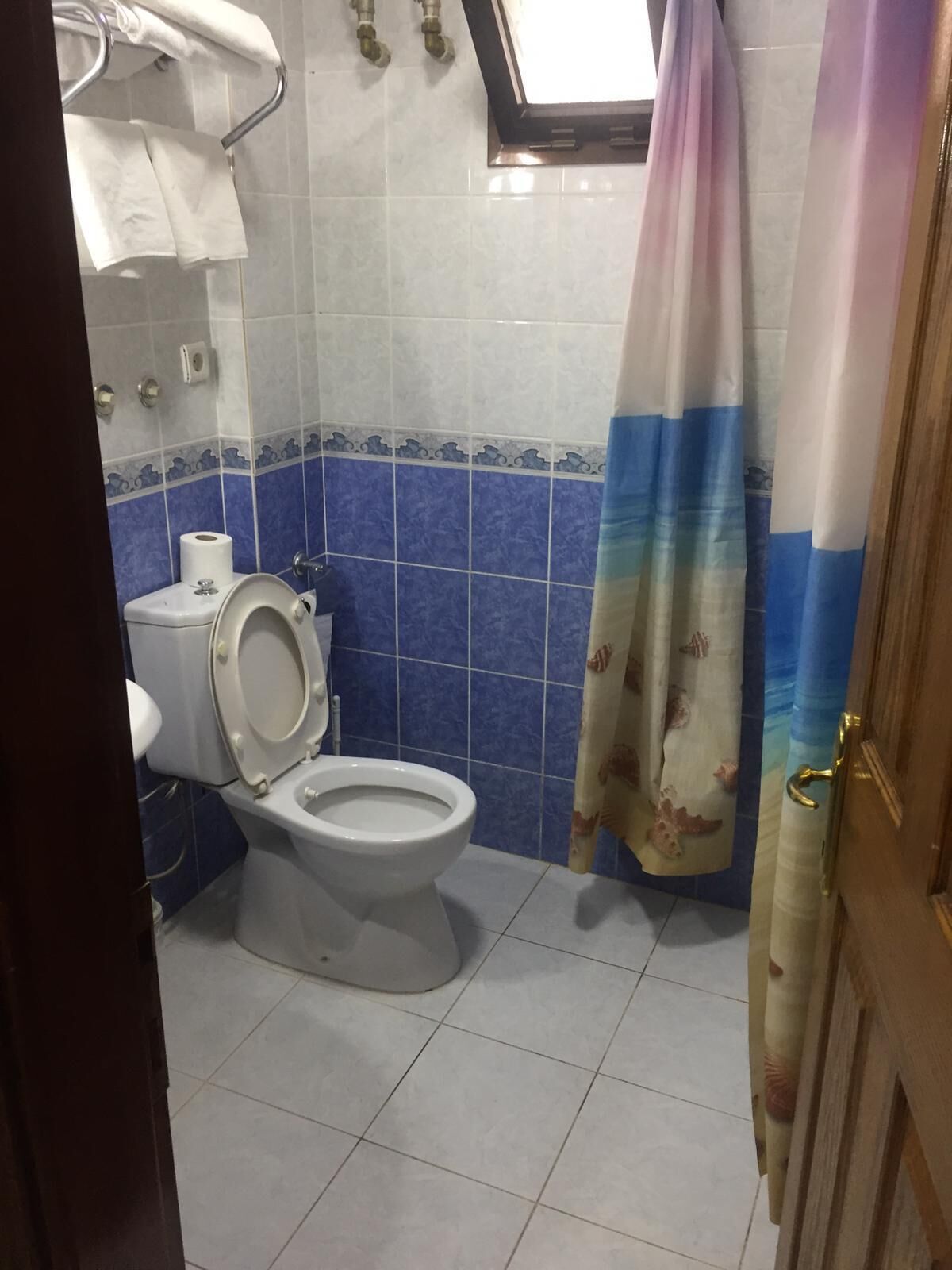 Un baño con inodoro, toallero y cortina de ducha.