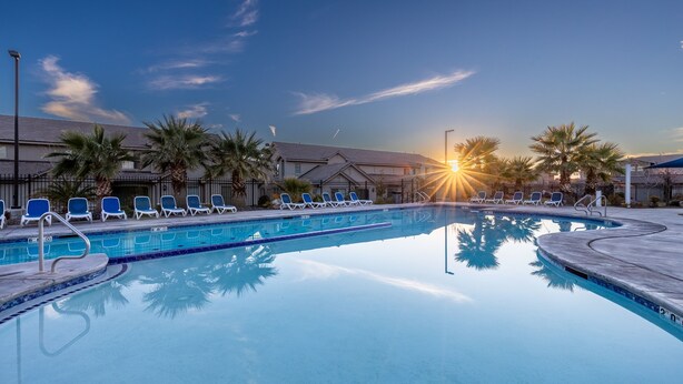 A swimming pool with lounge chairs and palm trees, surrounded by buildings.