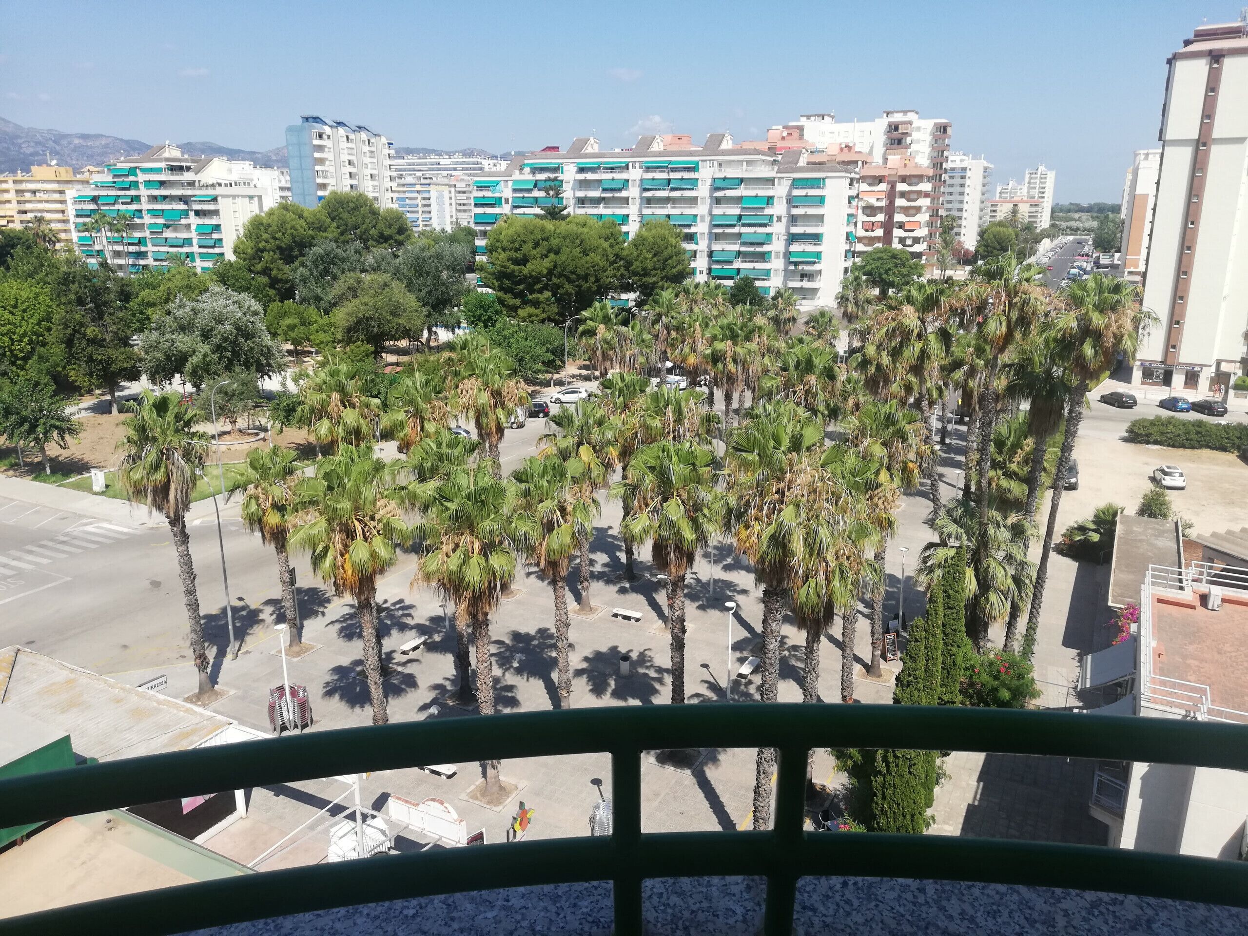Vista de un paisaje urbano con edificios altos, palmeras y cielo despejado.