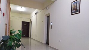 Siisti, hyvin valaistu käytävä, jossa on ruukussa oleva kasvi, ovi ja seinällä oleva kehystetty kuva.