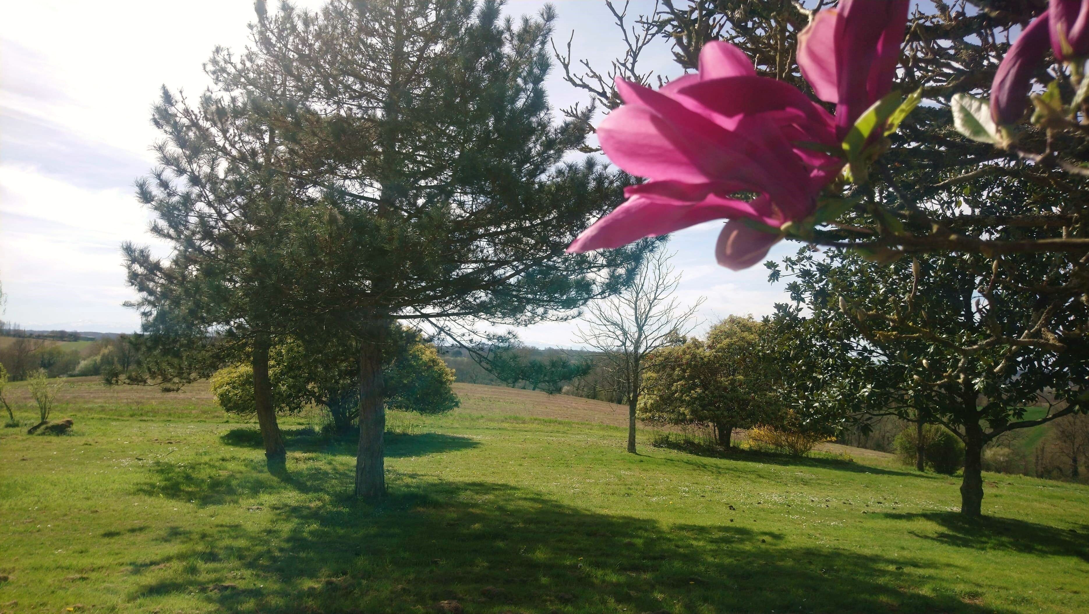 Comfort Room (Landaise) | Garden view