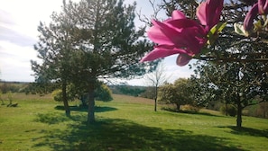 Chambre Confort (Landaise) | Vue sur le jardin