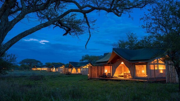 A row of wooden cabins with large windows, set in a grassy area with trees. - Asanja Grumeti (Serengeti)