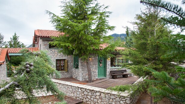Un bâtiment en pierre avec une porte verte, une terrasse en bois et un banc.