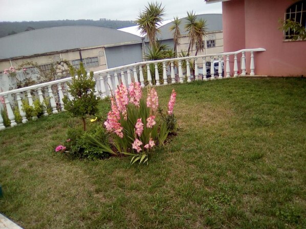 Property grounds - Vila Marques in Mira de Aire (Mira de Aire)