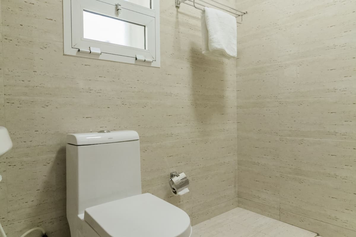 shower, free toiletries, towels, toilet paper