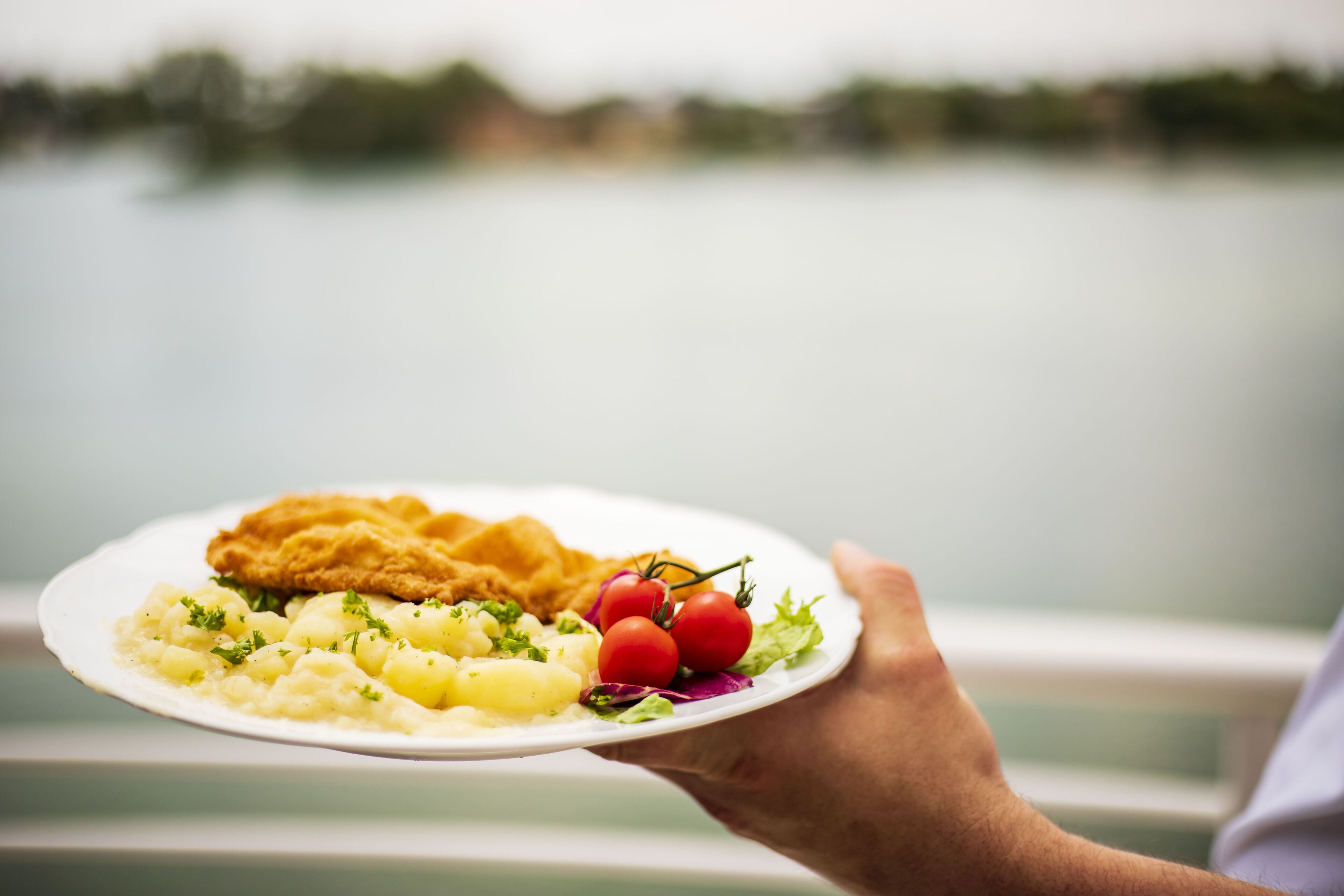 A person holding a plate with a breaded cutlet, potatoes, and cherry tomatoes.