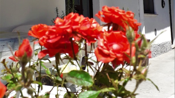 Exterior - Malpensa Bed & Breakfast (Somma Lombardo)