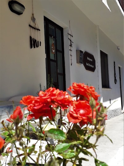 Malpensa Bed & Breakfast