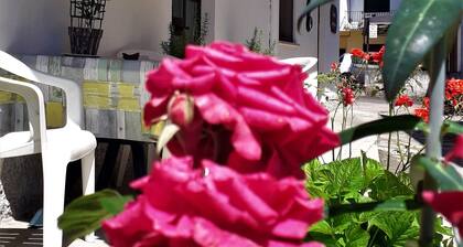 Malpensa Bed & Breakfast
