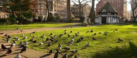 Enceinte de l’hébergement