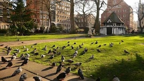 Stroll through a serene park with a tranquil atmosphere, surrounded by well-maintained gardens and a picturesque gazebo.