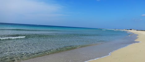 On the beach