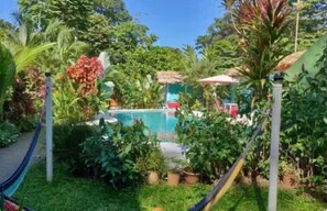 Pool - Clean & spacious apt in tropical garden paradise (Puerto Viejo de Talamanca)