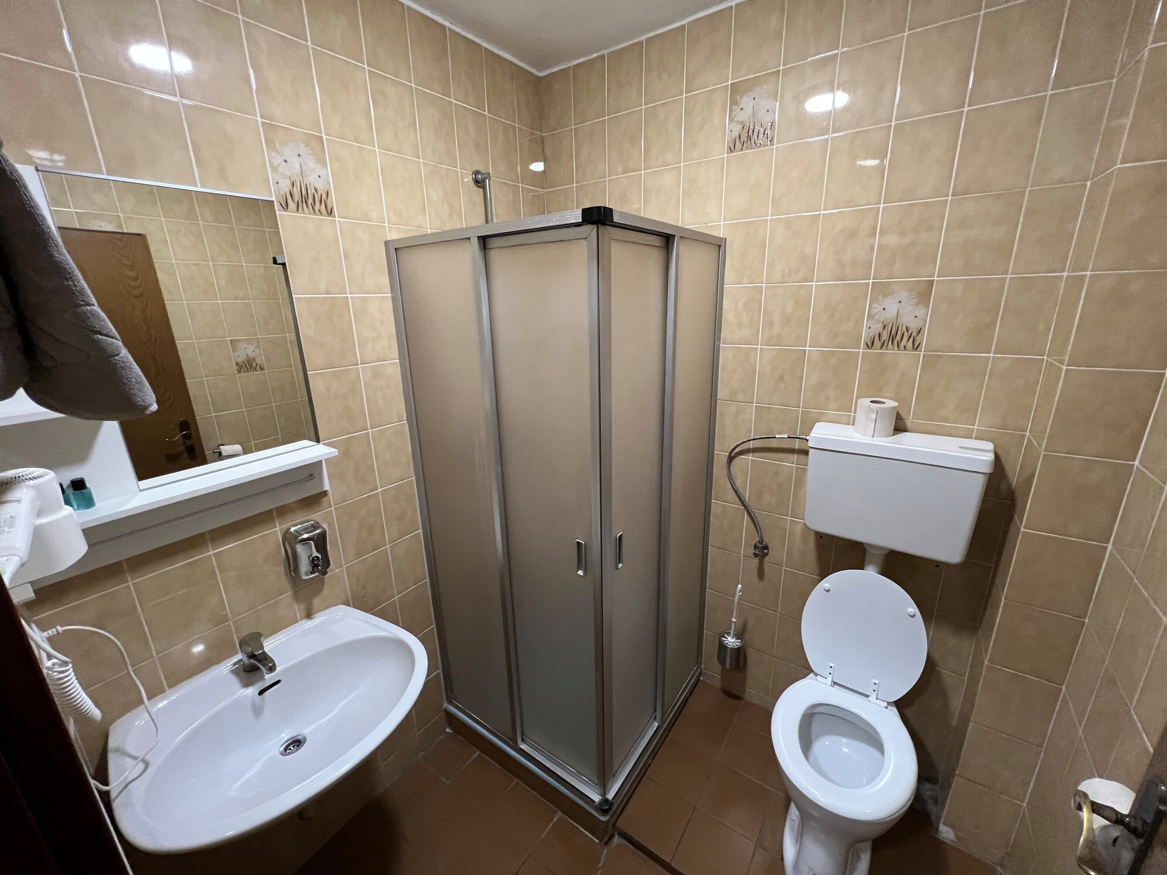 A bathroom with a shower, sink, toilet, and a mirror.