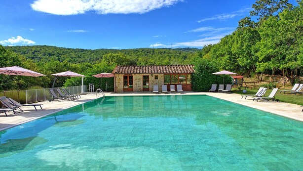 A swimming pool with lounge chairs and umbrellas, surrounded by lush greenery and a small building with a tiled roof.