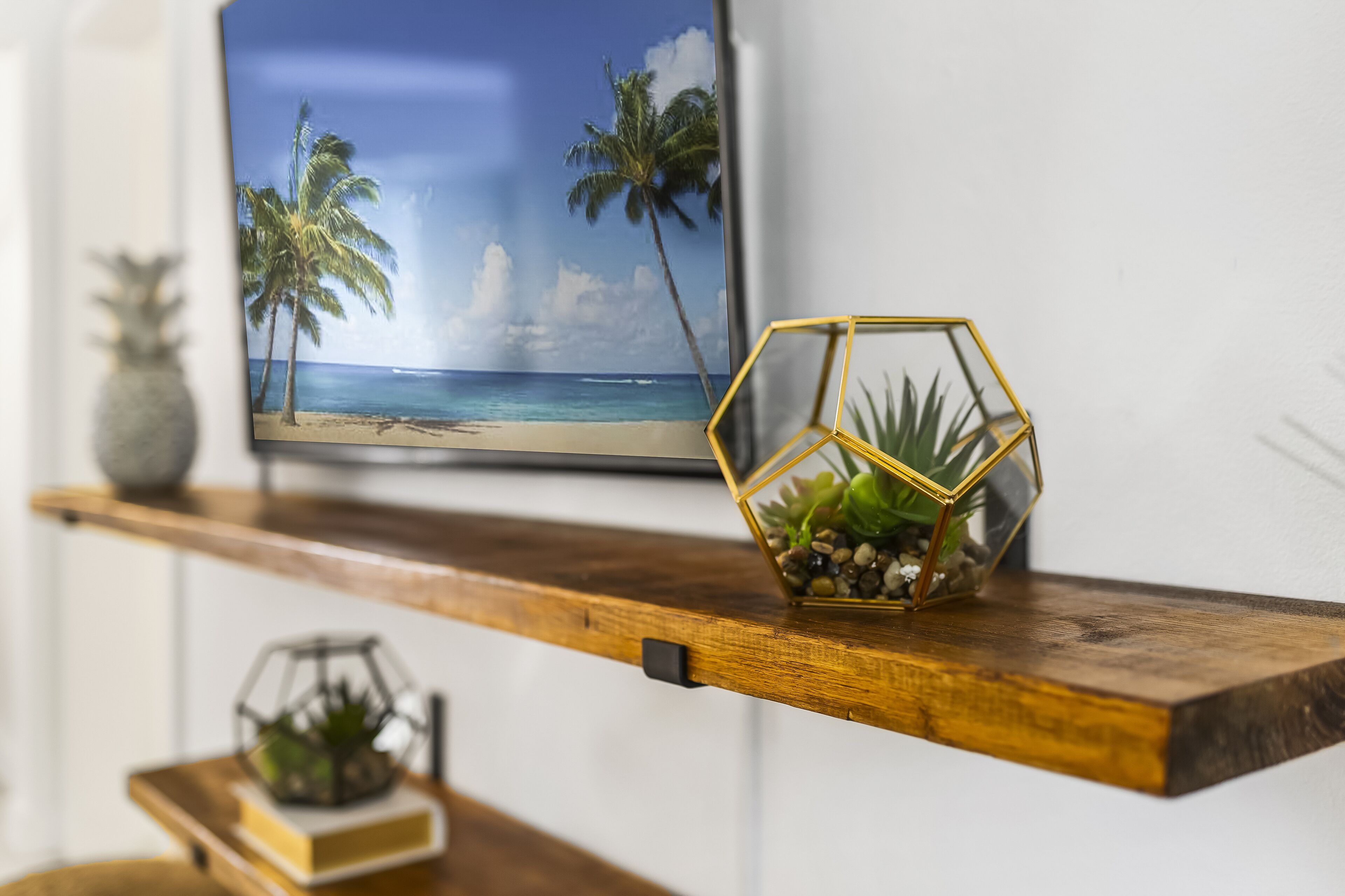 A wooden shelf with a TV displaying a beach scene, a geometric glass container with plants, and a book.
