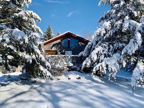 Exterior - Roscoe Cabin Pet Friendly (Roscoe)