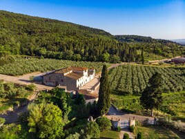 Una villa rural con patio, rodeada de olivares y una colina boscosa.