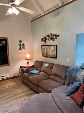 تلفزيون ذكي، مدفأة، مكتبة فيديو، شاشة كمبيوتر