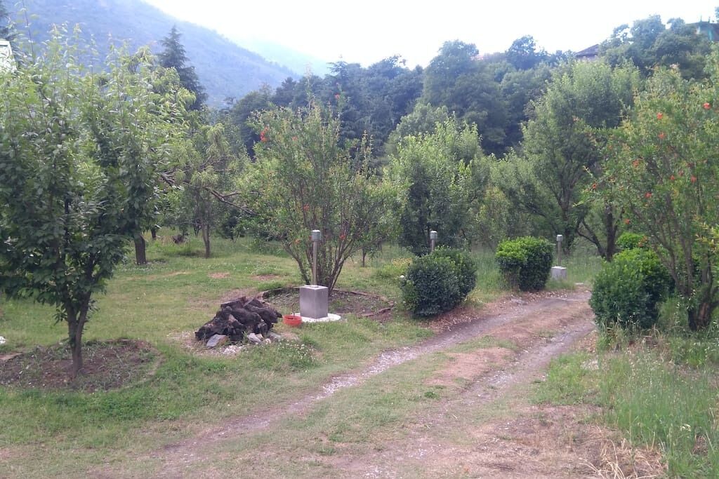 Luxurious independent cottages near Manali