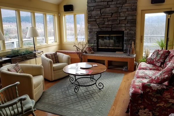 TV connectée, cheminée, lecteur de DVD, livres