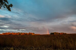 Exterior - Charming 1866 schoolhouse in the heart of the County - FREE Sandbanks Pass (Prince Edward)