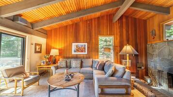 Télévision, cheminée, jeux vidéo, livres