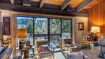 Télévision, cheminée, jeux vidéo, livres