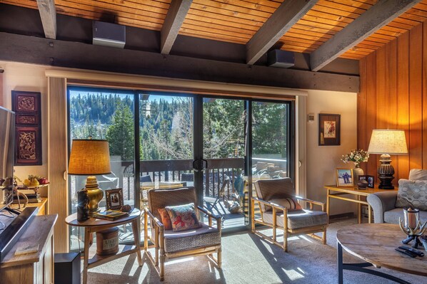 TV, fireplace, video games, books