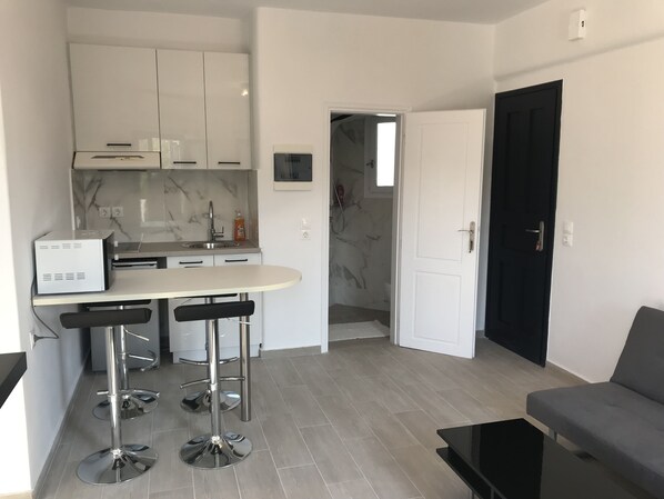 Apartment | Private kitchenette